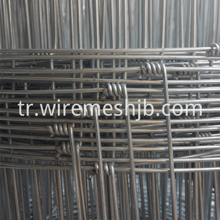 Galvanized Cattle Fence